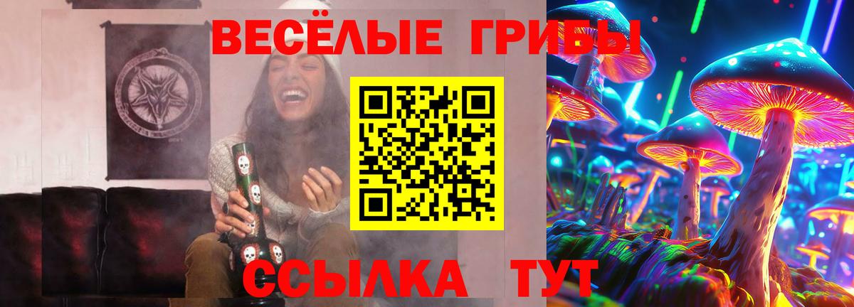 Галлюциногенные грибы прущие грибы  Вход с VPN  Новошахтинск 